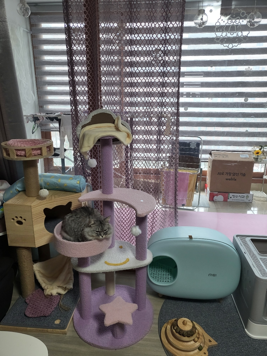 ETCA 별나라 5단 스크래쳐 숨숨집 고양이 장난감 캣타워