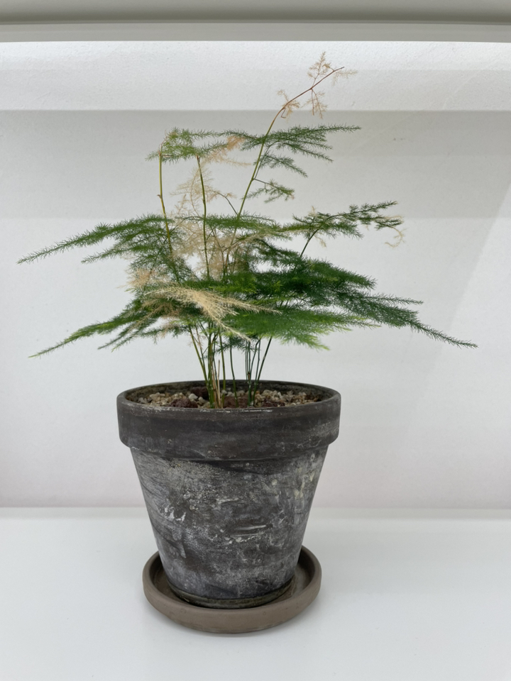 수산홈텍 CO경보기 배터리형 COB-380