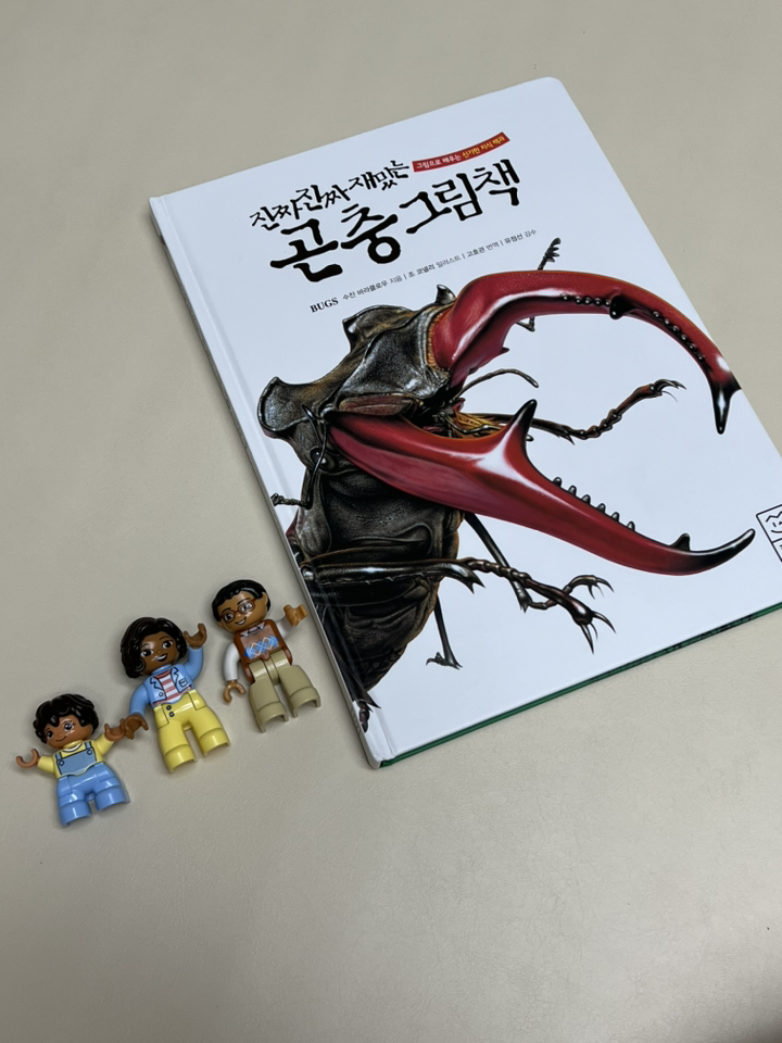 진짜 진짜 재밌는 곤충 그림책:그림으로 배우는 신기한 지식 백과