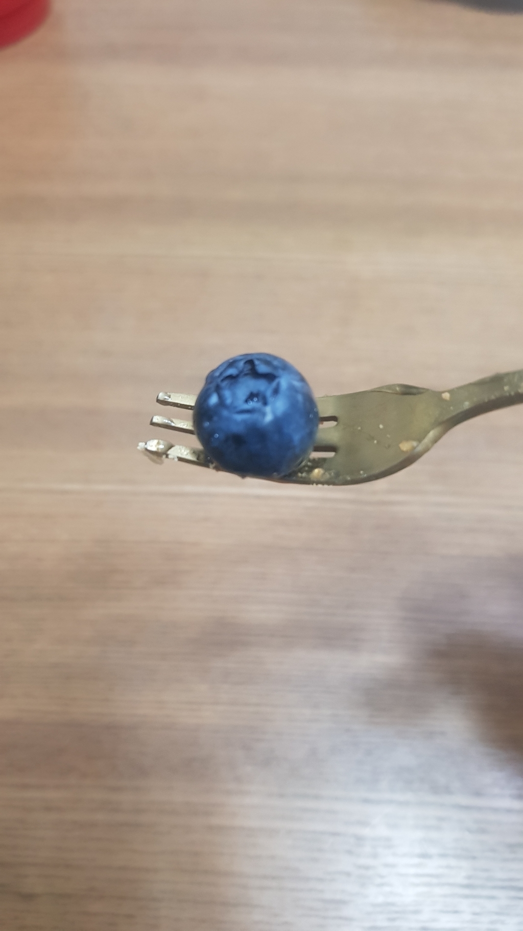 SK 칠레산 블루베리