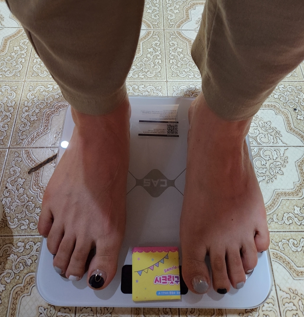 카스 가정용 스마트 체지방 체중계
