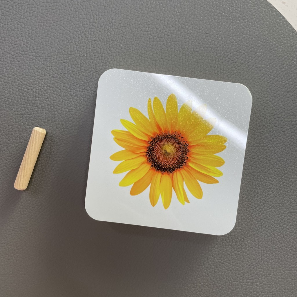 열도자 미니 해바라기 사진 오리진 WHITE 리뷰 후기