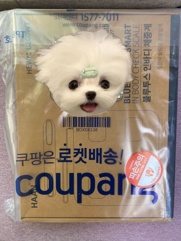 한경희 정확HAAN 체중계