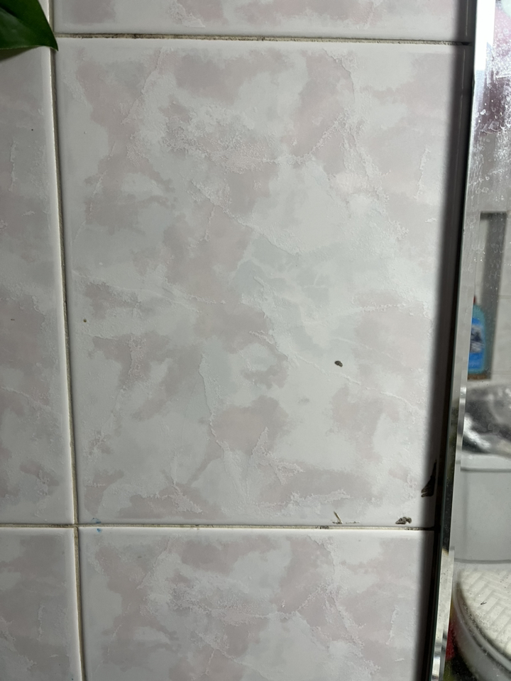 yunri 다용도 스테인레스 헤어드라이기 거치대