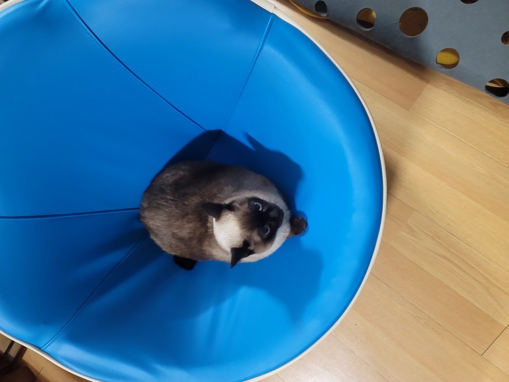 해피스타트 플라워 1인용 소파