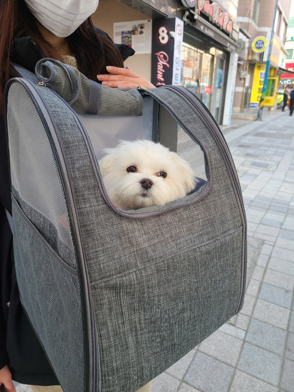요기쏘 반려동물 캐쥬얼 베이직 이동가방 리뷰 후기