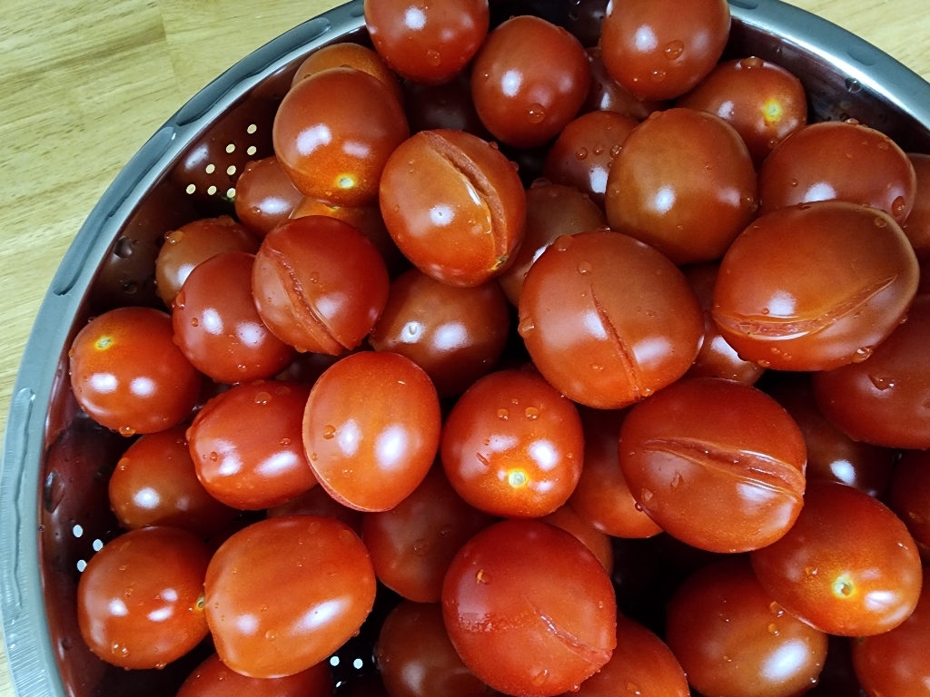 [달찐과일] 대추방울토마토  실중량 당일수확 산지직송