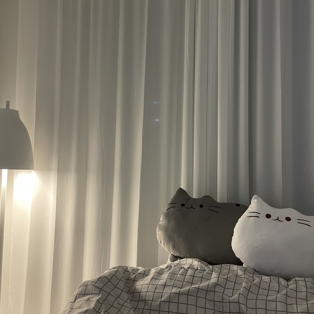 배곧데코 부드럽고 귀여운 고양이 등쿠션 허리쿠션