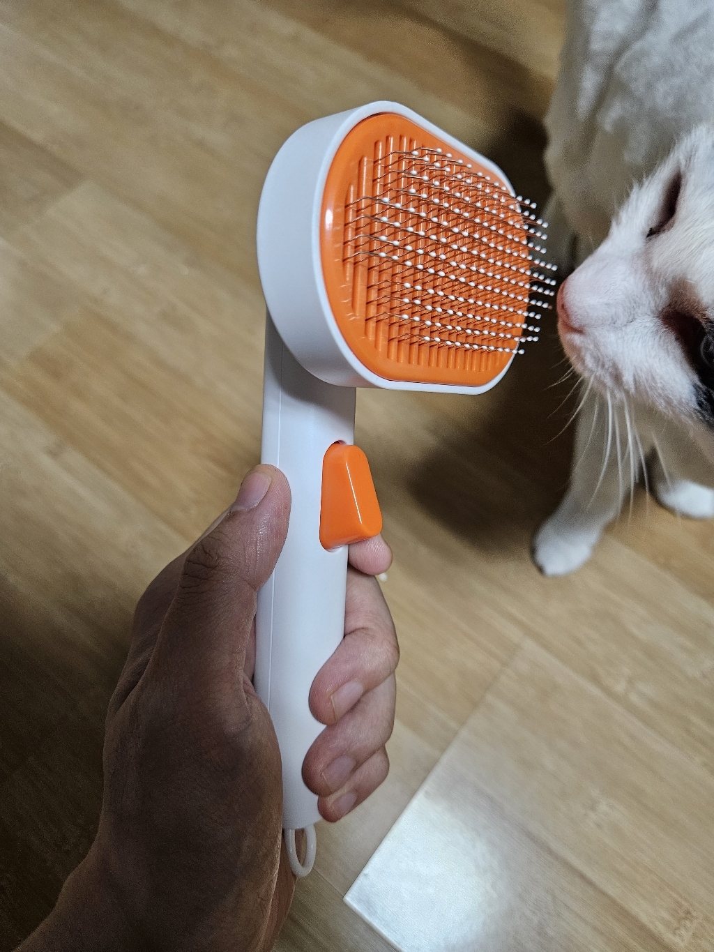 SOONTAN 톡톡 강아지 고양이 죽은털 제거 원터치 브러쉬, 1개, 주황