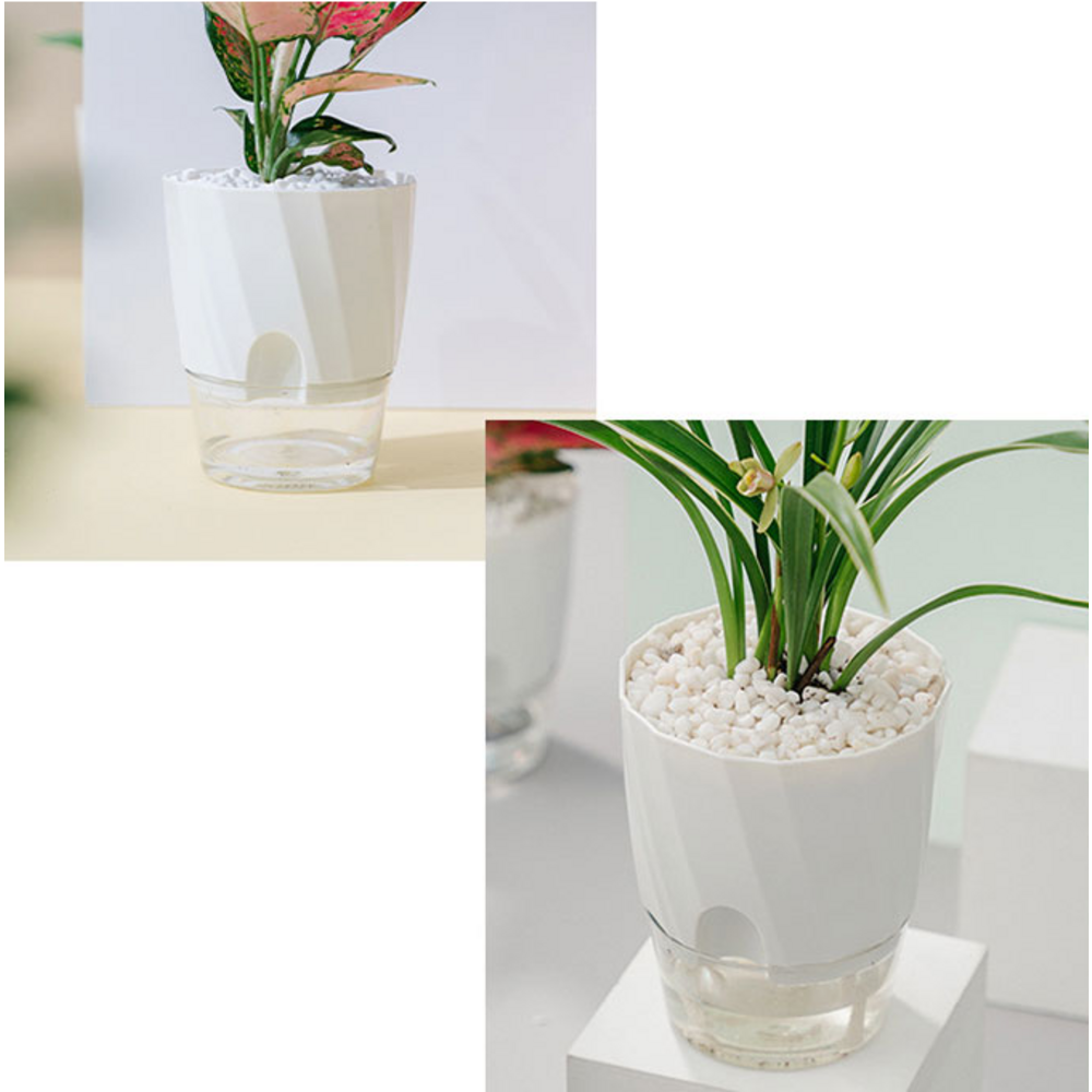 식물 키우기를 단순화하고 즐겁게 만드는 자동급수 플라스틱 화분