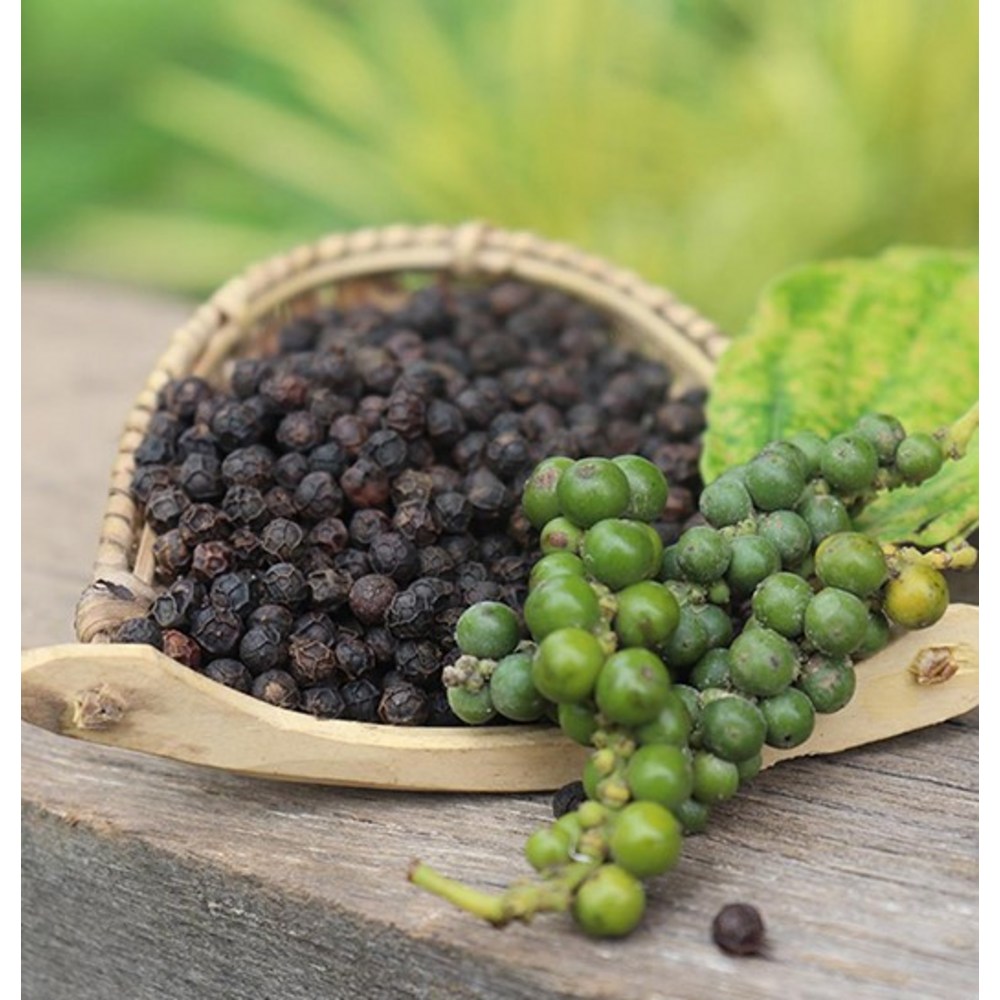 요리의 완성도를 높이는 최고의 선택