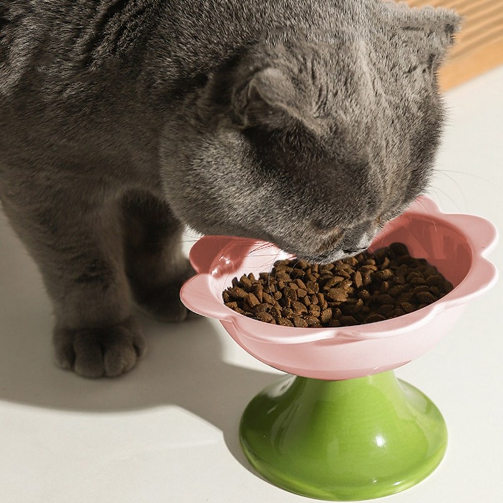 반려동물에게 최고의 건강과 행복을 선사하는 멍냥이랑 반려동물 플라워 식기