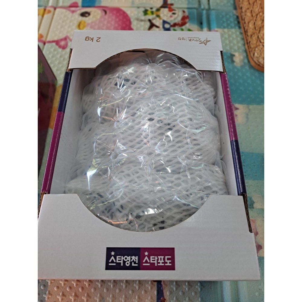 햇살 머금은 영천 머루포도 MBA, 풍요로운 가을의 맛을 선물하세요.