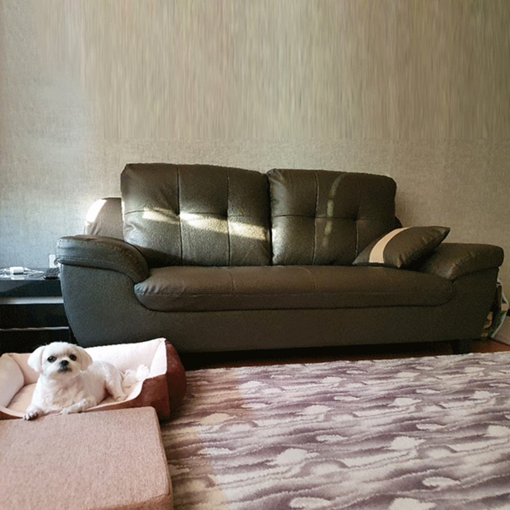 뭉크 소파, 당신의 거실을 특별하게 디자인하다!