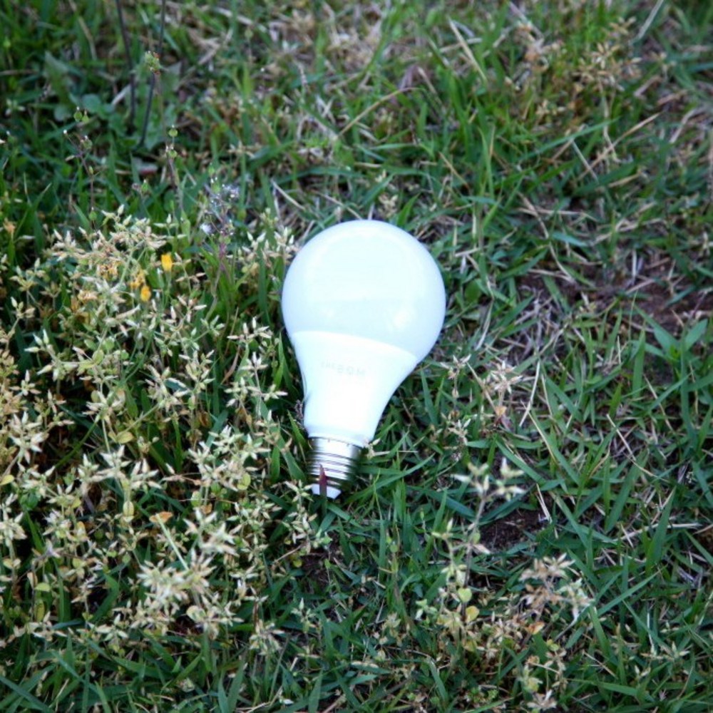 빛으로 키우는 행복, 대통령상 수상 LED 식물등