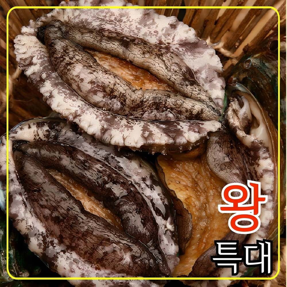 완도 청정 바다의 숨결, 왕특대 전복으로 전하는 특별한 선물