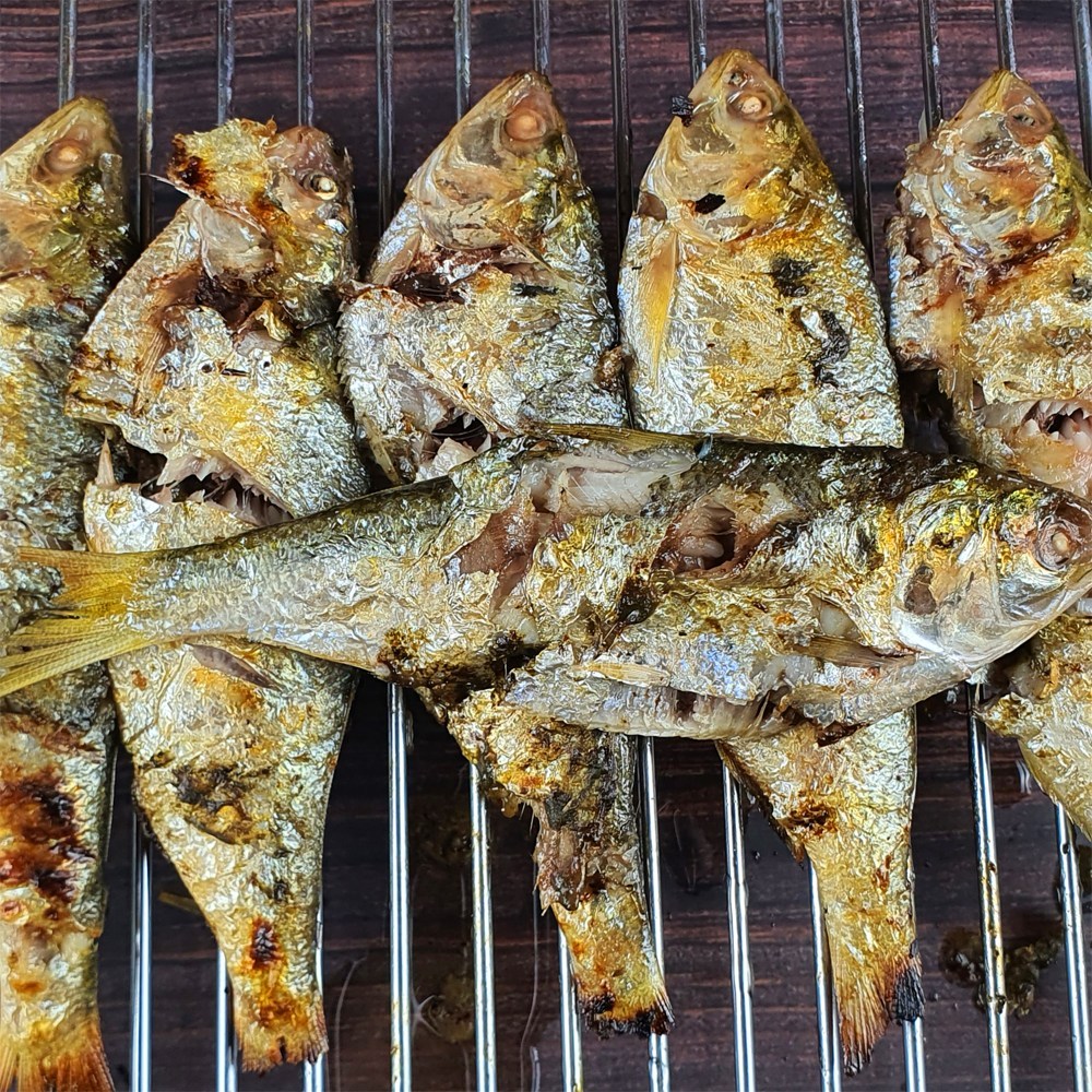 고흥 자연산 햇전어, 가을 미식의 향연을 집에서!