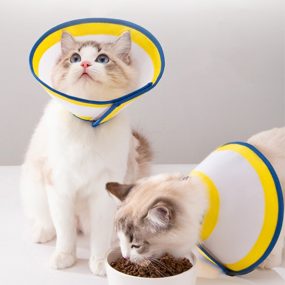 반려동물의 편안한 여정을 위한 펫트에일 초경량 메쉬 넥카라