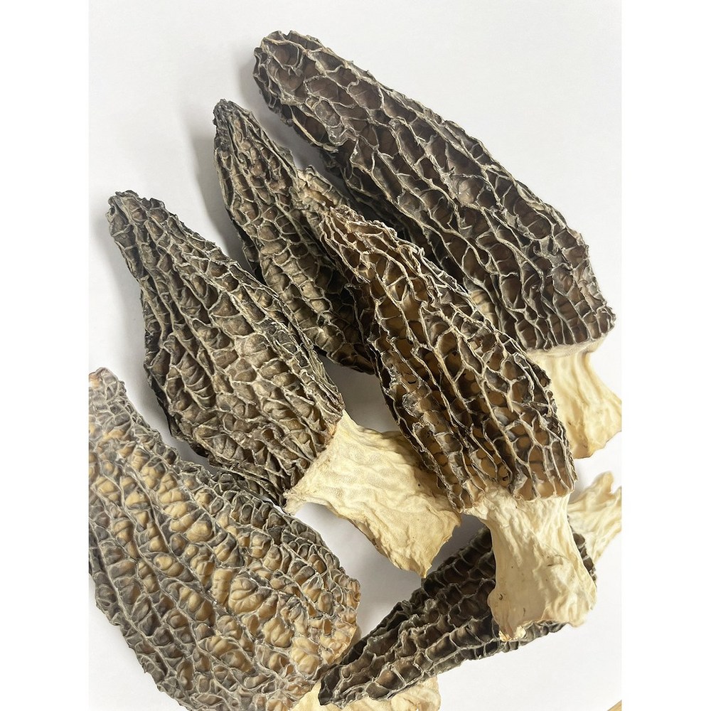 미식의 정점, 풍부한 풍미와 건강까지 생각하는 건조 모렐버섯