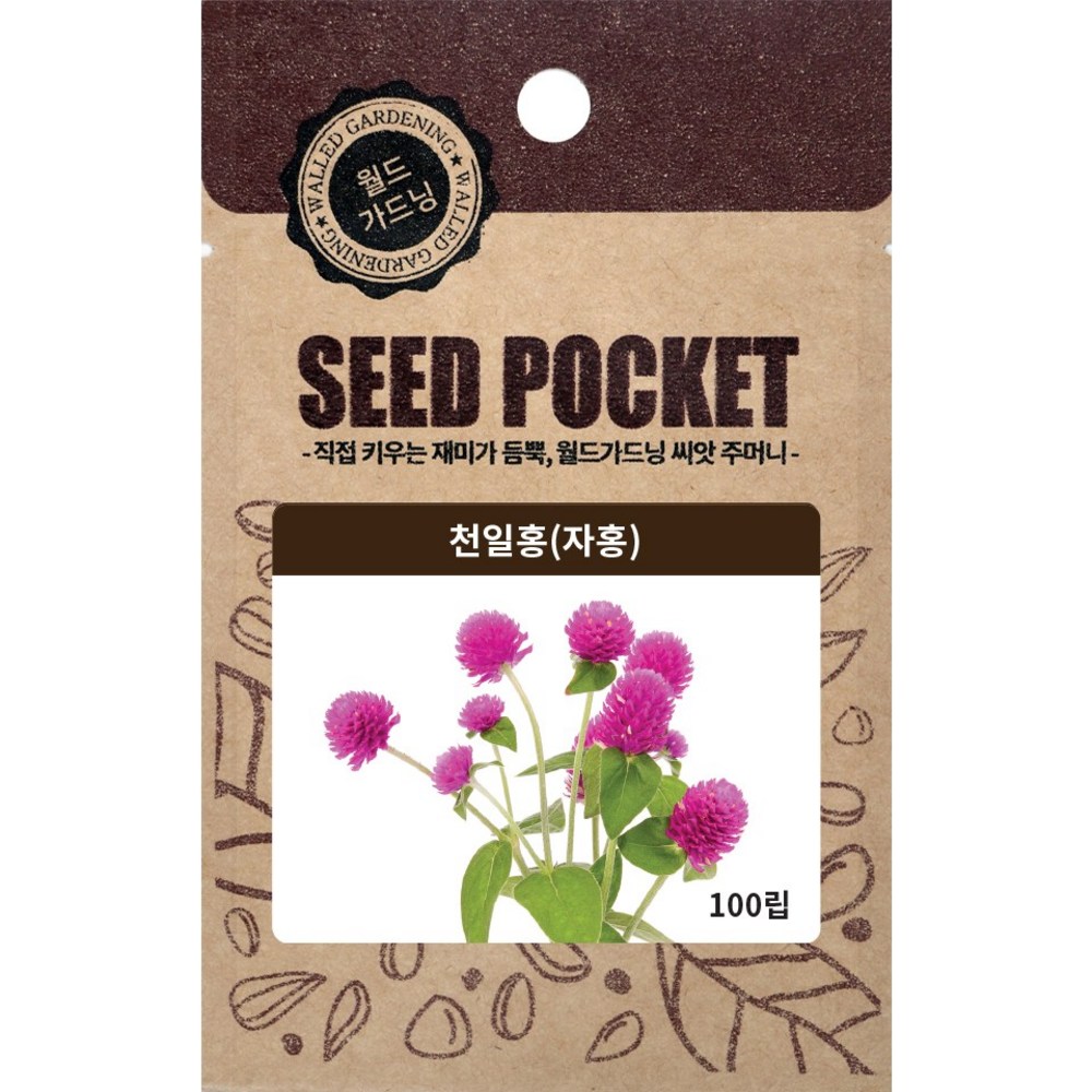 집에서 피어나는 화려함, 화분월드 천일홍 씨앗으로 시작하세요!