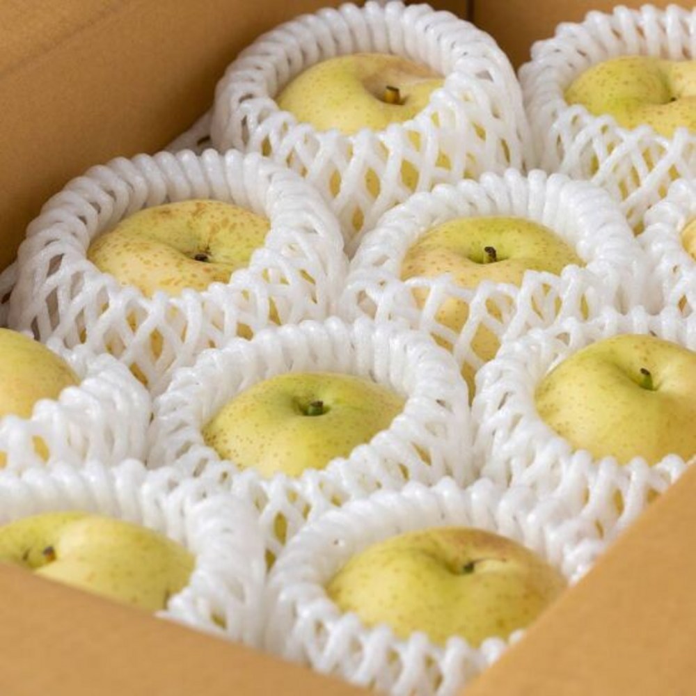 황금빛 풍요, 산지직송 황금배로 맛과 건강을 한번에!