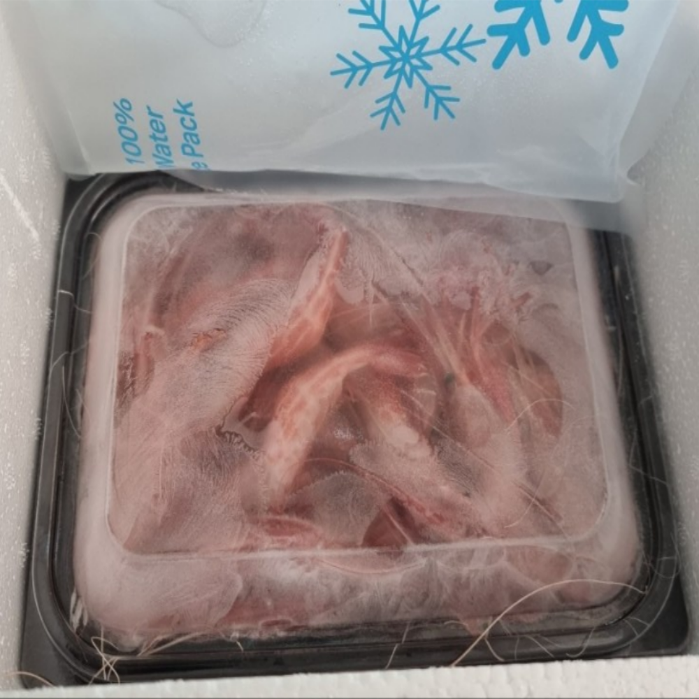 독도 앞바다의 싱싱함을 당신의 식탁으로, [고니네농수산] 활 독도꽃새우