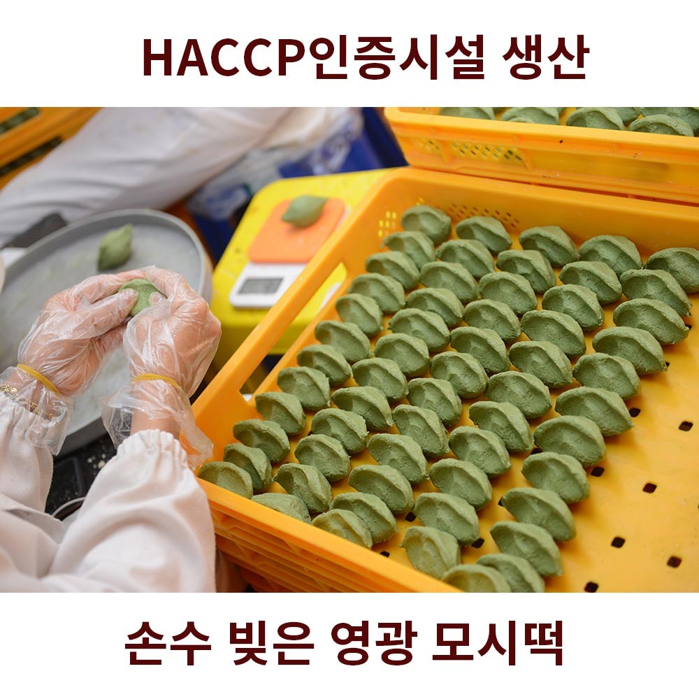 햇살과 정성이 빚은 영광 생 모시떡: 풍요로운 맛과 건강을 담은 특별한 경험