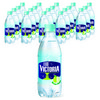 웅진빅토리아 더빅토리아 그린애플 탄산음료, 500ml, 20개