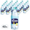웅진빅토리아 더 빅토리아 레몬, 500ml, 40개
