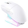 로이체 충전독 + RGB 게이밍 무선 마우스 세트 RDM-G510 WH, WHITE