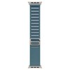 Apple 정품 애플워치 알파인 루프, 라이트 블루 / 내추럴 티타늄, 49mm, Large, 1개