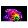 LG전자 4K UHD OLED evo AI TV, OLED55G6KNA, 방문설치, 벽밀착 벽걸이형, 138cm(55인치)