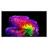 LG전자 4K UHD OLED evo AI TV 벽밀착, OLED83G6KNA, 방문설치, 벽걸이형, 209cm(83인치)