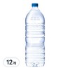 웅진 깊을수록 무라벨, 2L, 12개