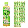 오이오차 녹차, 525ml, 24개