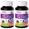 키누 핑크퐁 츄어블 아연 플러스, 90정, 2개