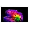 LG전자 4K UHD OLED 올레드 evo AI TV, OLED55G6KNA, 방문설치, 벽걸이형, 138cm(55인치)