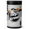 푸드올로지 헤이 그로우 곡물맛 저당 단백질 쉐이크, 1개, 600g