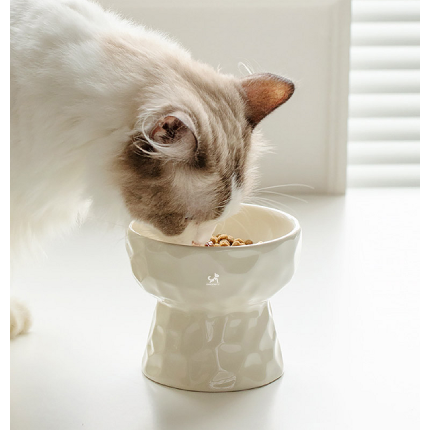 사랑하는 반려동물에게 건강과 행복을 선물하세요.