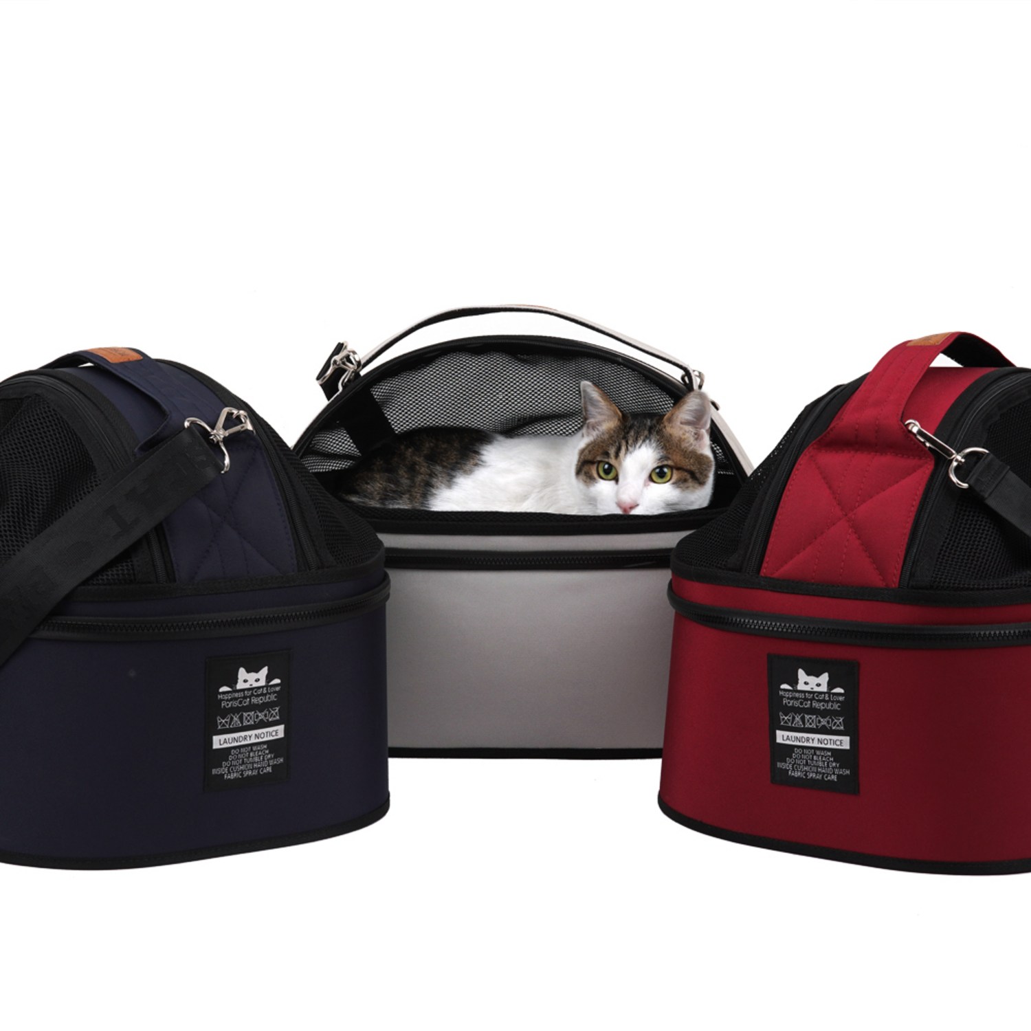 편안하고 안전한 반려동물 이동 수단