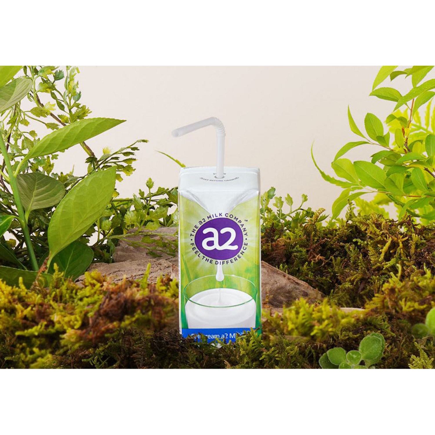 건강한 아침을 위한 에이투밀크 멸균우유