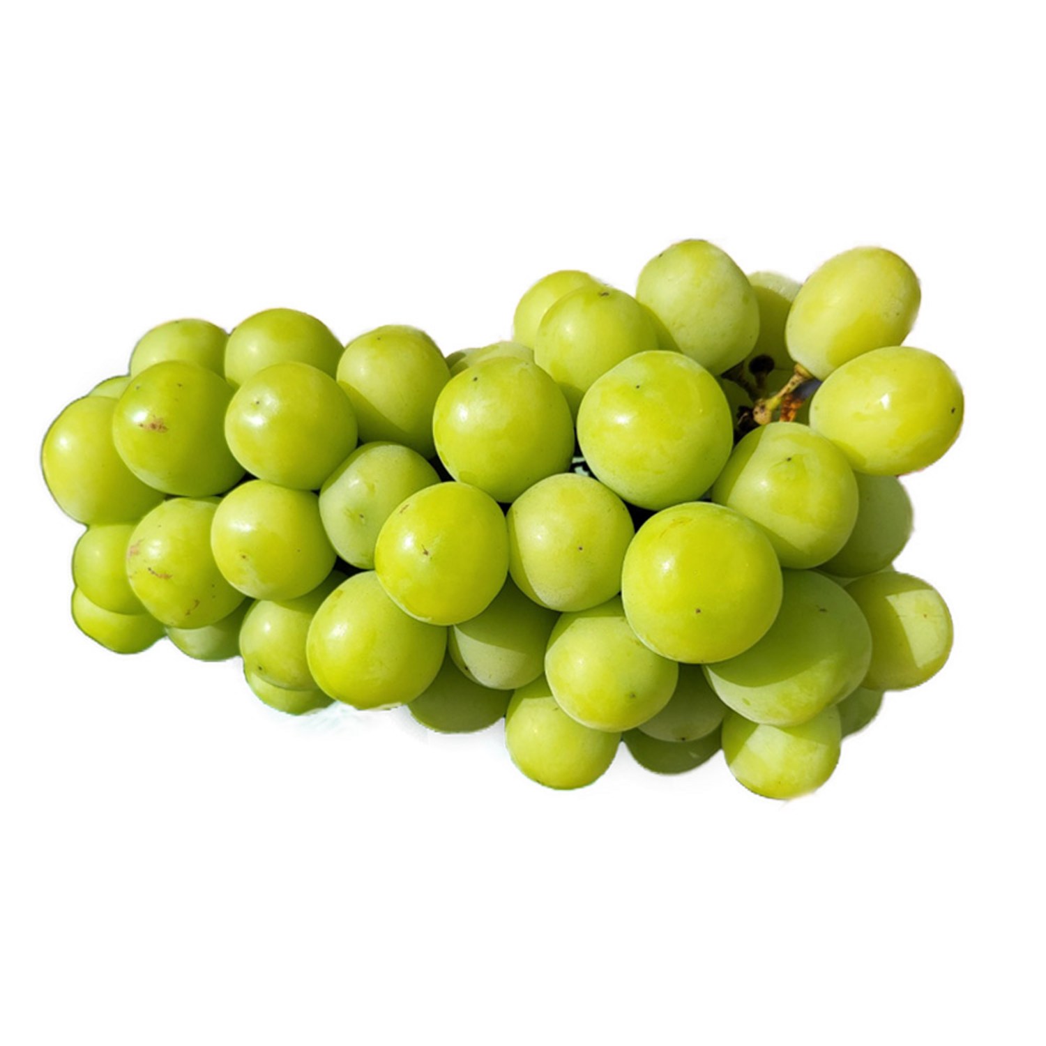 입안 가득 퍼지는 달콤한 행복, 샤인머스켓 한정 판매!