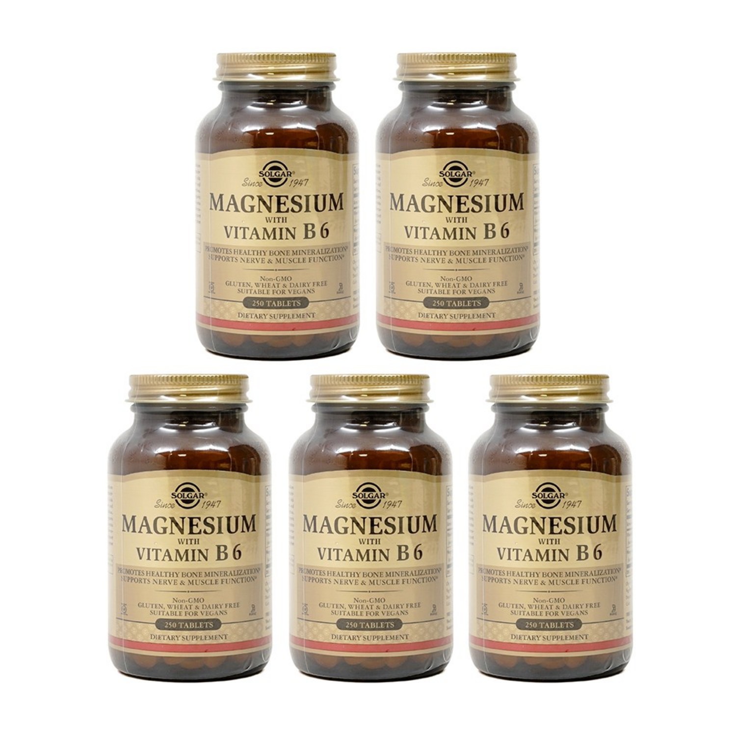 솔가 마그네슘 위드 비타민 B6 250정 Solgar Magnesium with Vitamin B6 250tabs -5개 SET, 250정, 5개