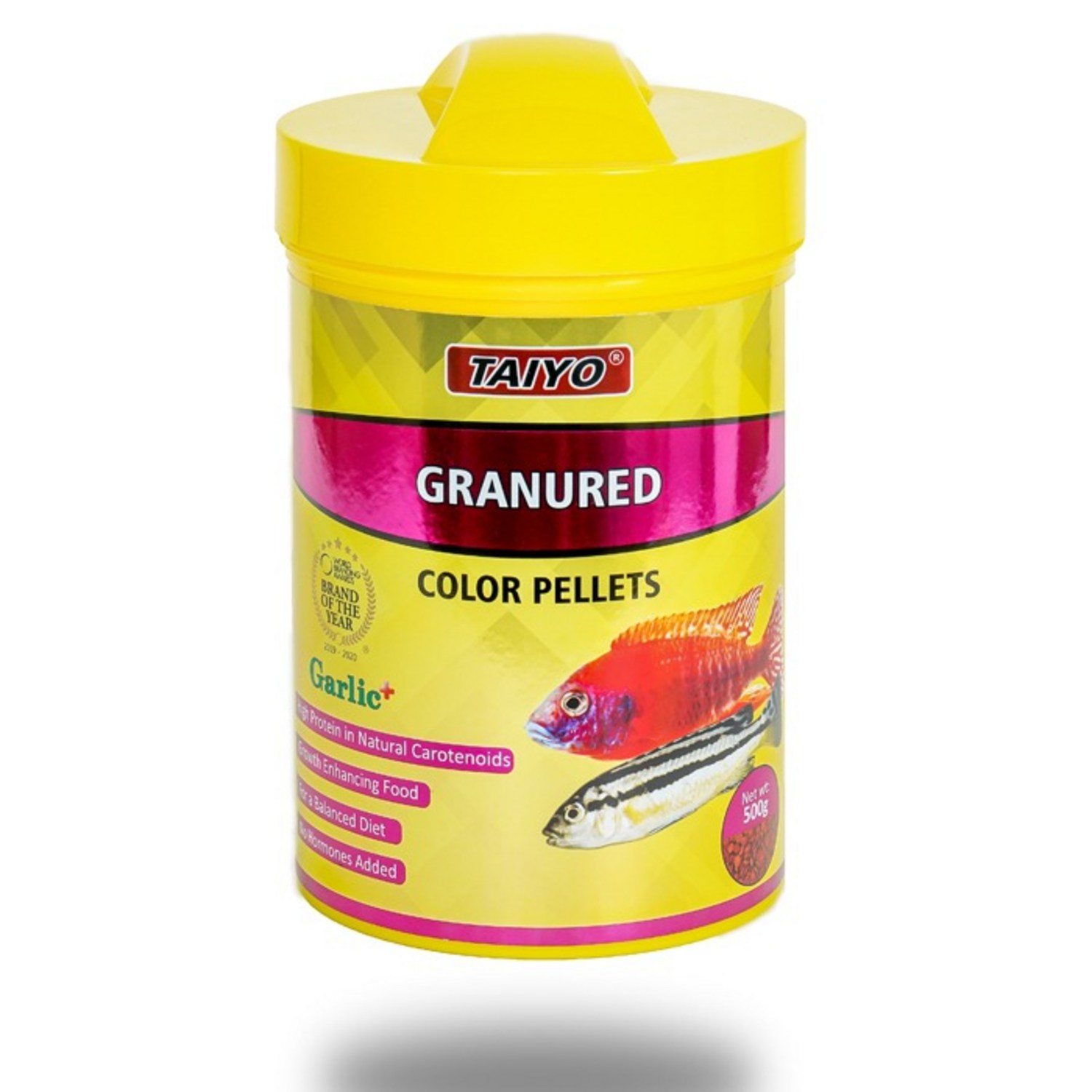 코리 안시 시클리드 발색 강화 먹이, 타이요 그래뉴 레드 소개 시클리드