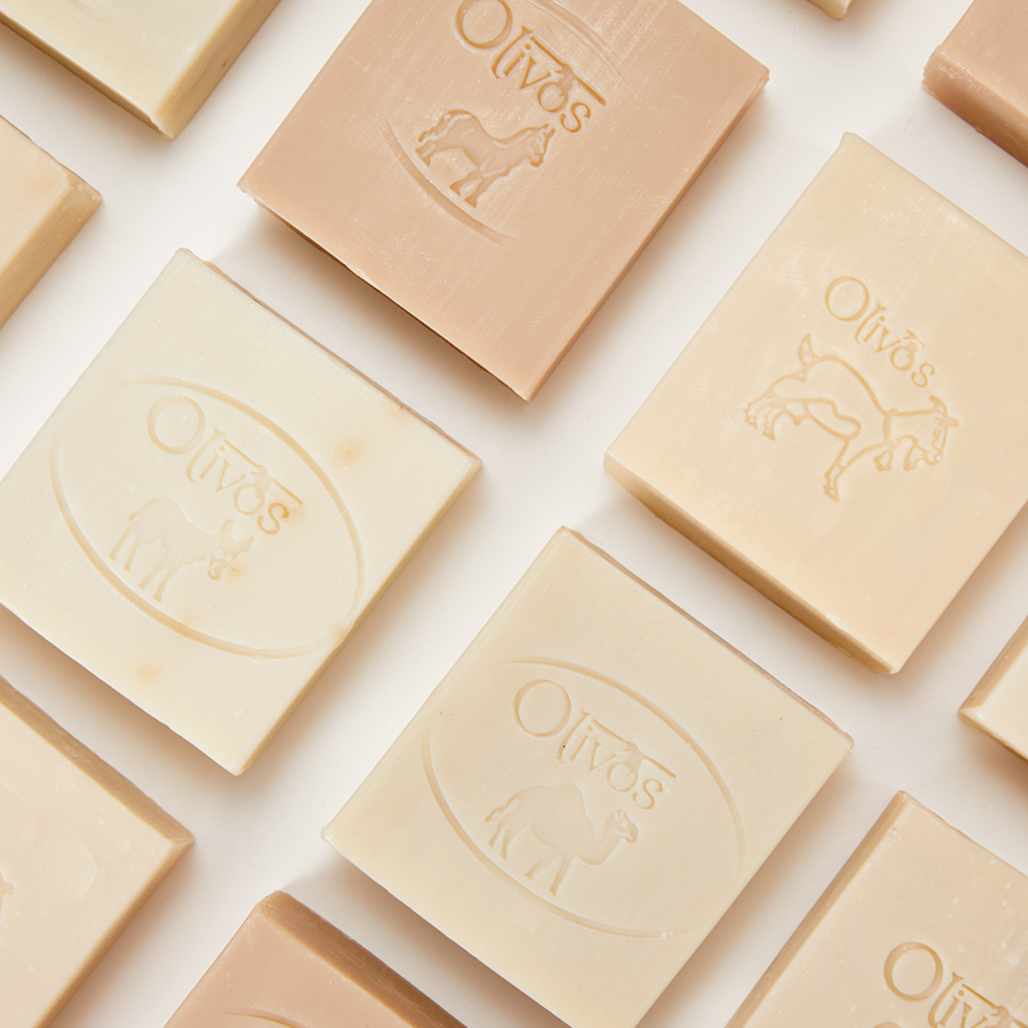 올리보스 엑스트라 버진 올리브 오일 고트 밀크 솝으로 진정하고 보습된 피부를 되찾으세요.