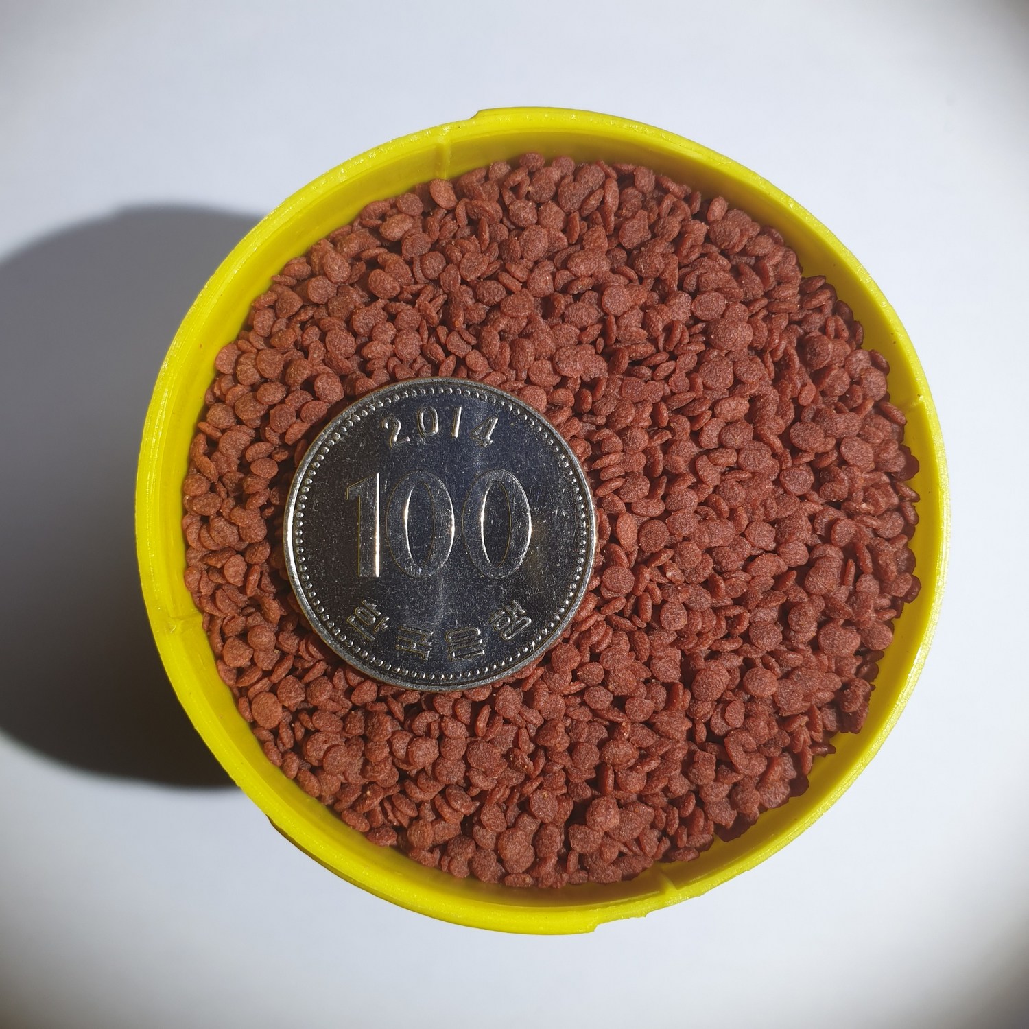 코리 안시 시클리드의 건강과 아름다움을 위한 필수 아이템