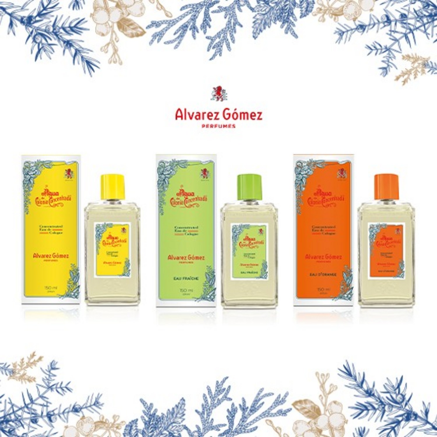 고메즈 향기의 마법: 알바레즈 고메즈 향수 컬렉션