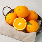 중대과1.3kg(4~7입)