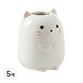 화이트고양이