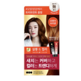 03 오렌지브라운